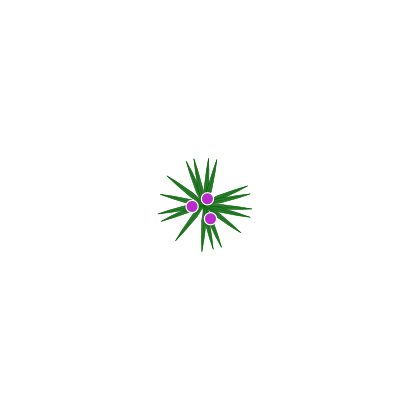 Download free round green violet star icon